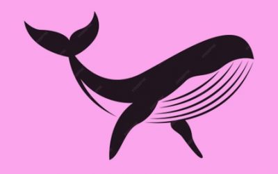 Youth Takeover (inc. whale!)